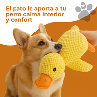 PATO