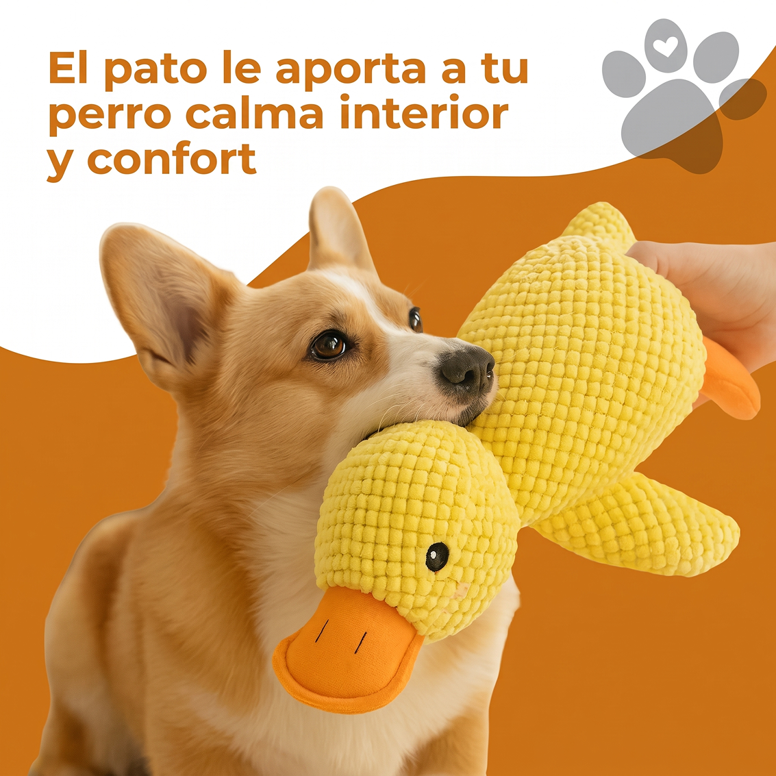 PATO
