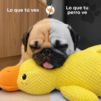 PATO
