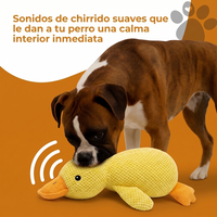 PATO