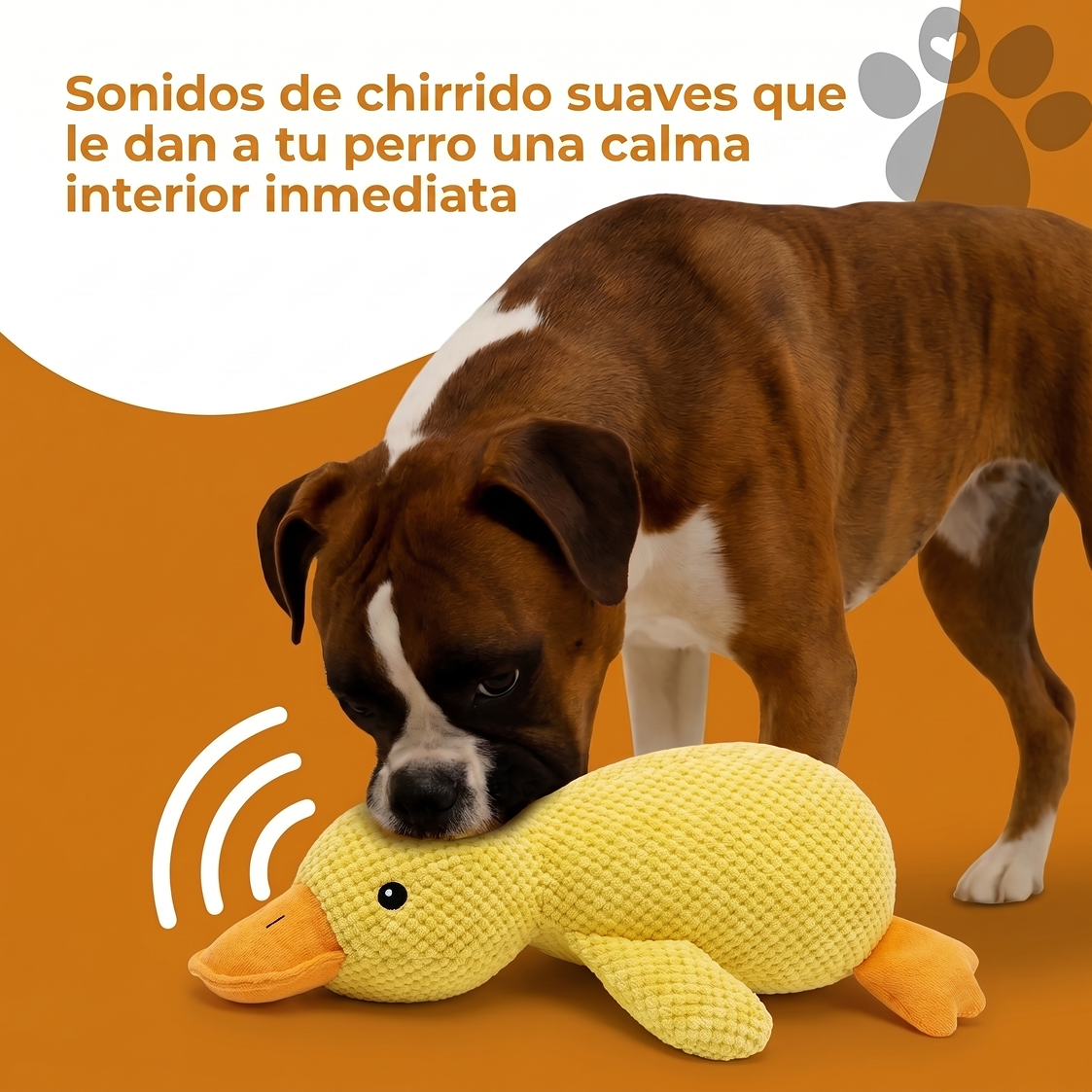 PATO