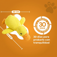 PATO