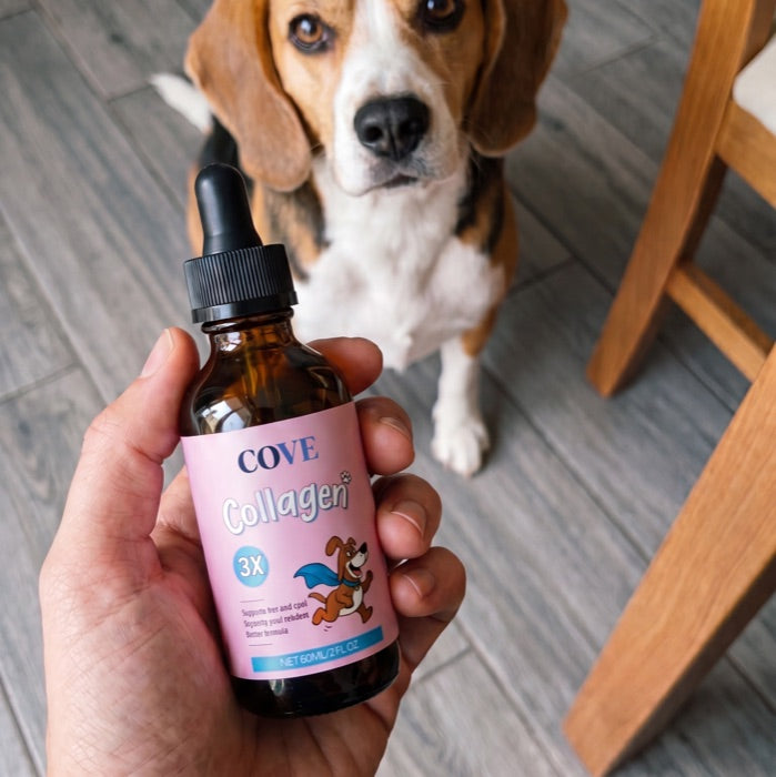 Collagen